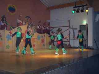 Elferratssitzung 2007 – Main-Flowers